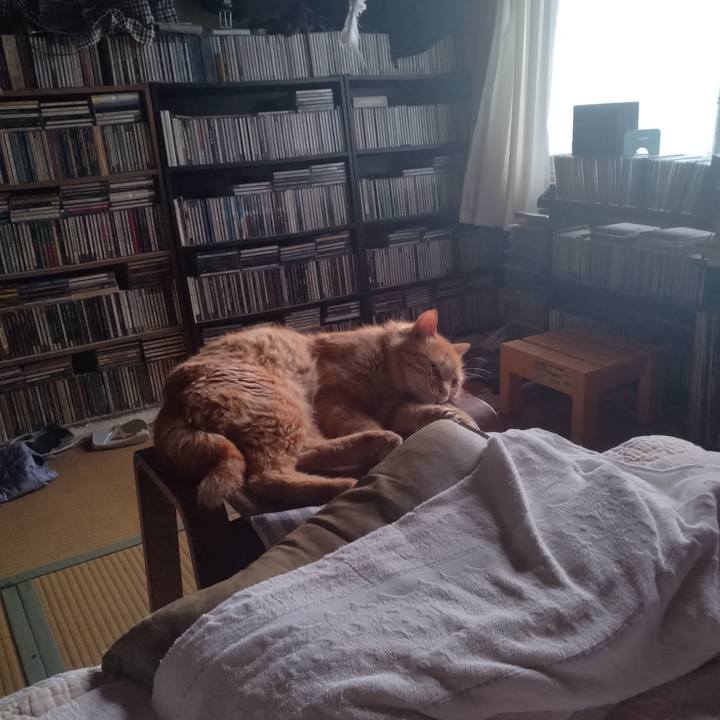 5a47120b da38 4ba0 96e2 cf8ec28869fb 1750542346013