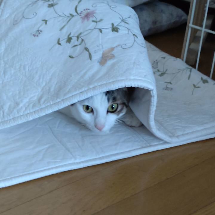 5a471525 673a 4ff4 9453 a8ac6729aca6 1672362342078