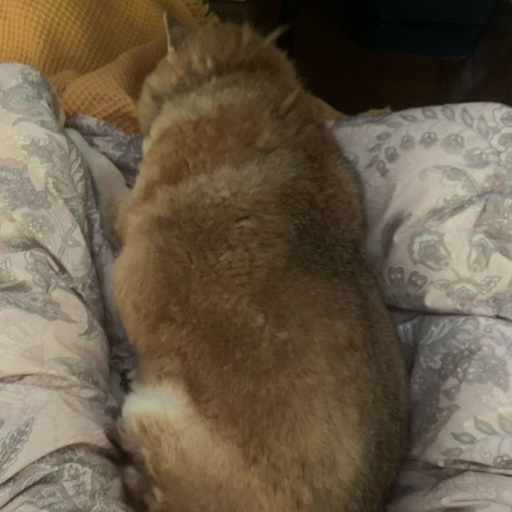 5a472279 3515 4667 9324 e8a52dbff1ac 1620949144720