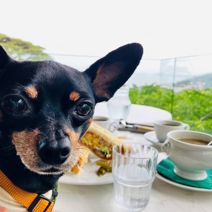 5a4756dc f802 4db2 9a36 4ff9624ff9d3 1724015977027