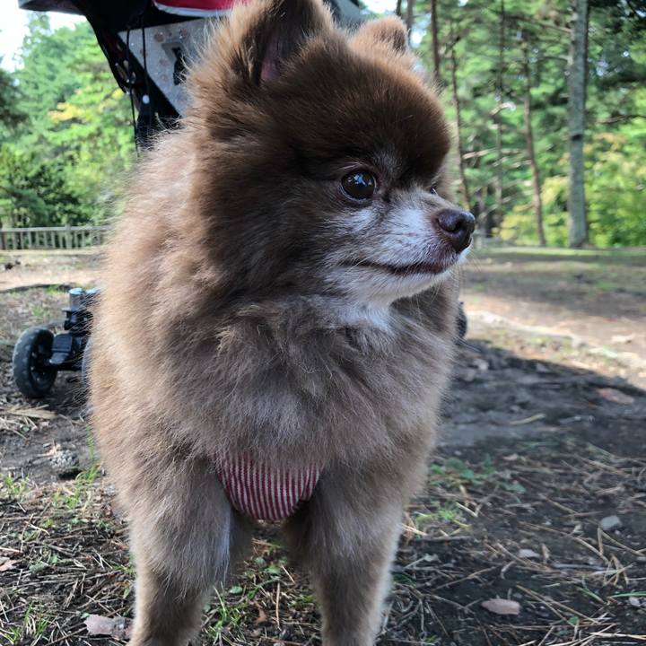 5a4770c3 38ce 4117 a07c c8313b02ece6 1569669574018