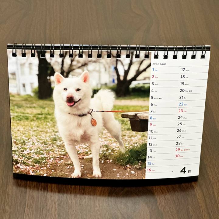 5a4785ba 58b5 4b8a a8f3 9aeab50e635f 1680353753799