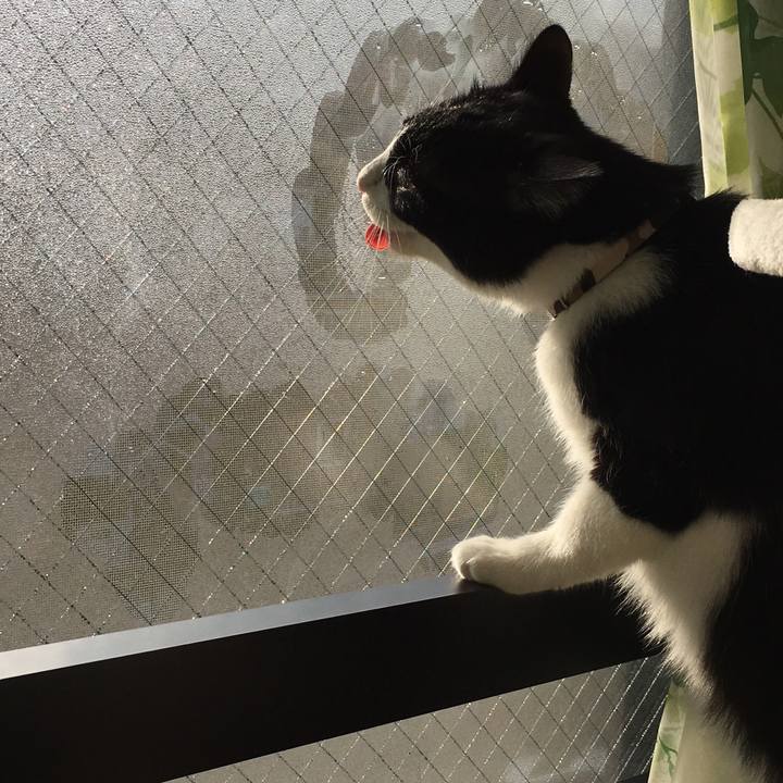 5a479403 60bb 41f8 b067 4b867e08c3e2 1519428402501