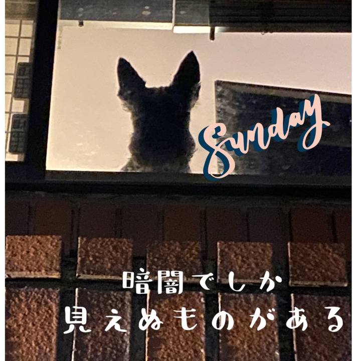 5a47b383 07db 4ecf 8c34 32485bf6df85 1651977551384