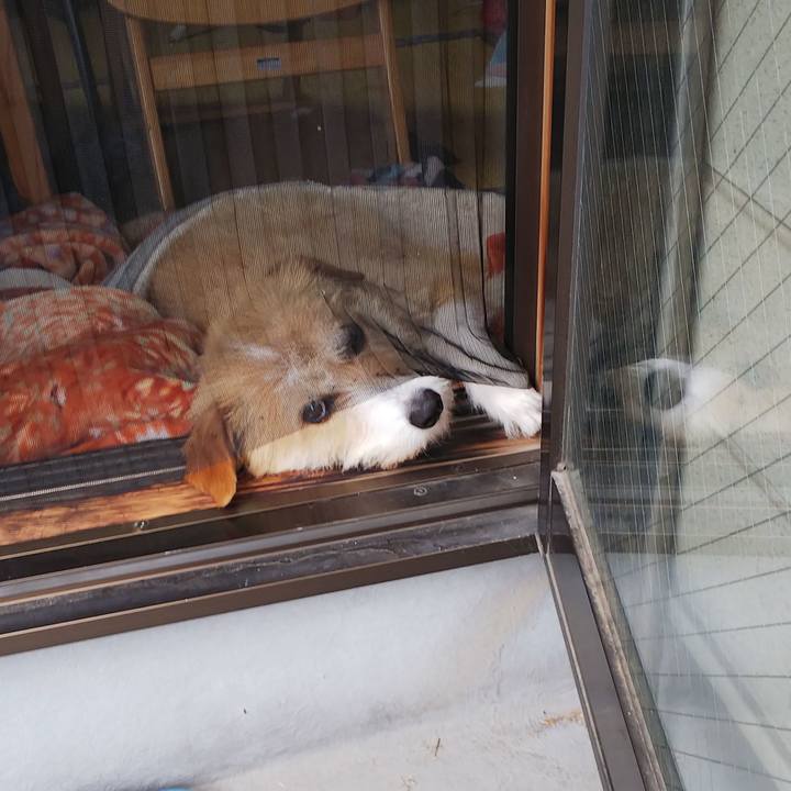 5a47c995 bf7e 474a 9e62 9d6b56ff3001 1559276849843