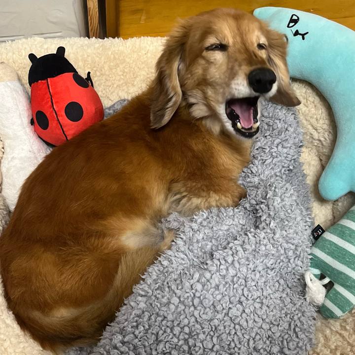 5a47ce1c a90a 4ba0 b889 f99e1e6c5eaa 1646740499692