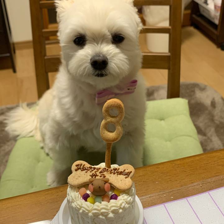 5a47dfc4 2ee0 4440 82a1 284b99450be7 1616647182164