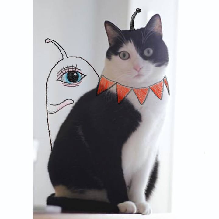 5a480a0b 43b8 4420 9adc b4bb6c8e8527 1589280336267