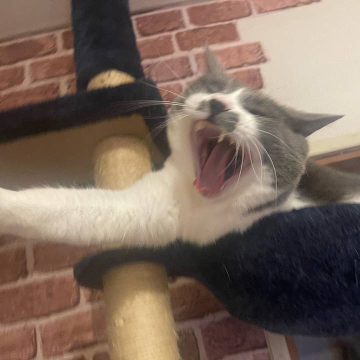 5a481d29 0a5c 47cb a773 afee8fed6236 1669711173407