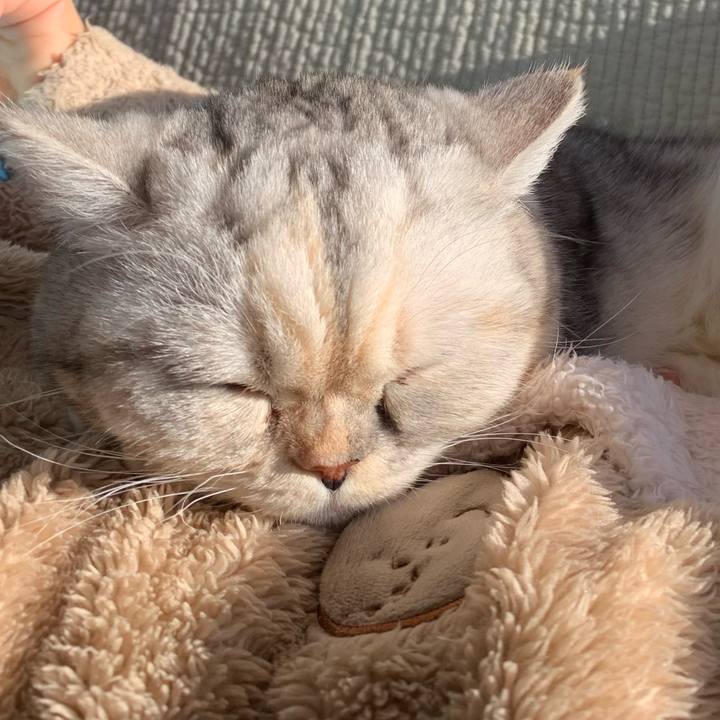 5a48467d b8f4 414c b0d5 1529fde3fba0 1705209565517