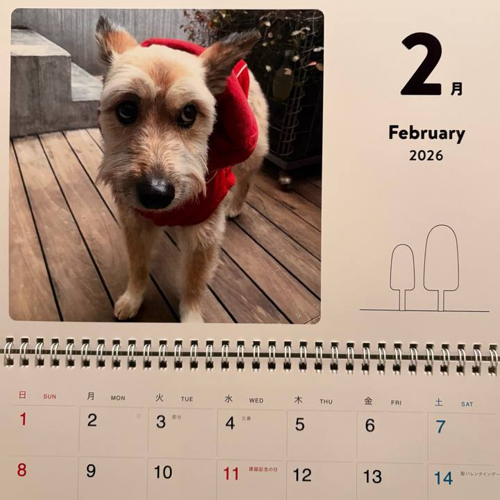 5a484972 0ca7 4e93 a8d2 15ab37ed395a 1769915377230