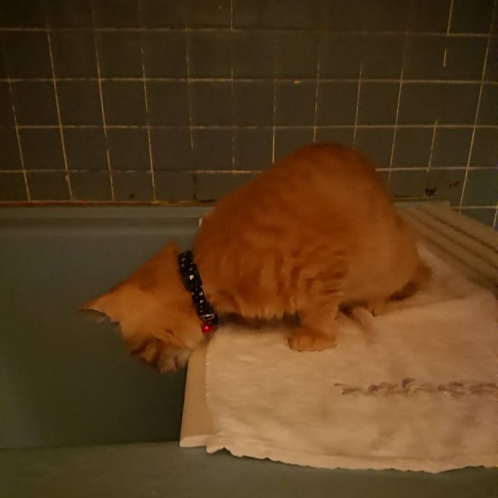 5a484bc5 b3f4 430f 93e5 ddee79f1aacd 1634117693991