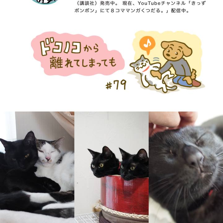 5a48a236 4ff5 4cbb b24d eb18c7d49a2d 1541042021049