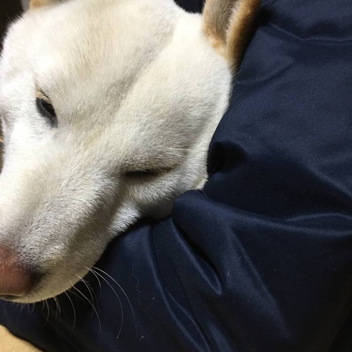 5a48c469 dbe9 4cba 9536 dcdcddb7c1f5 1510227126264