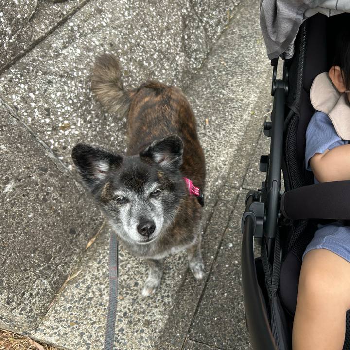 5a4905fd 8bda 4870 8436 0b6f2a205173 1728739872195