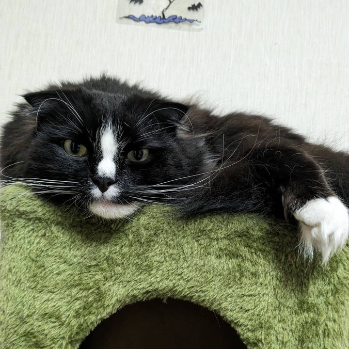 5a494b86 d6f2 45b5 83bf 629f83e1fbbc 1716810399267