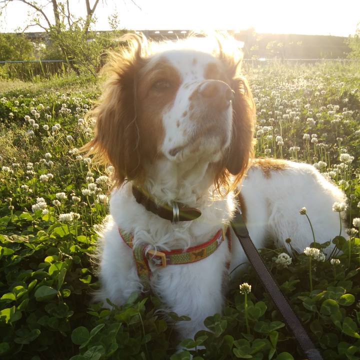 5a494f31 dd8a 4d8e acfd ea16e0d38ae5 1524139230314