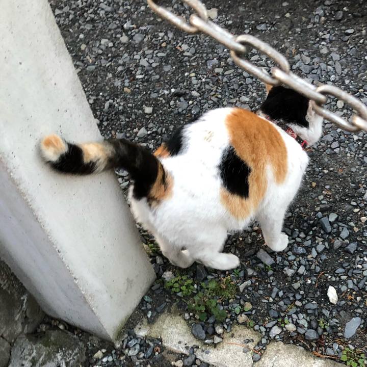 5a494fb9 9890 4cbb 8f12 ae4057697995 1611789592916