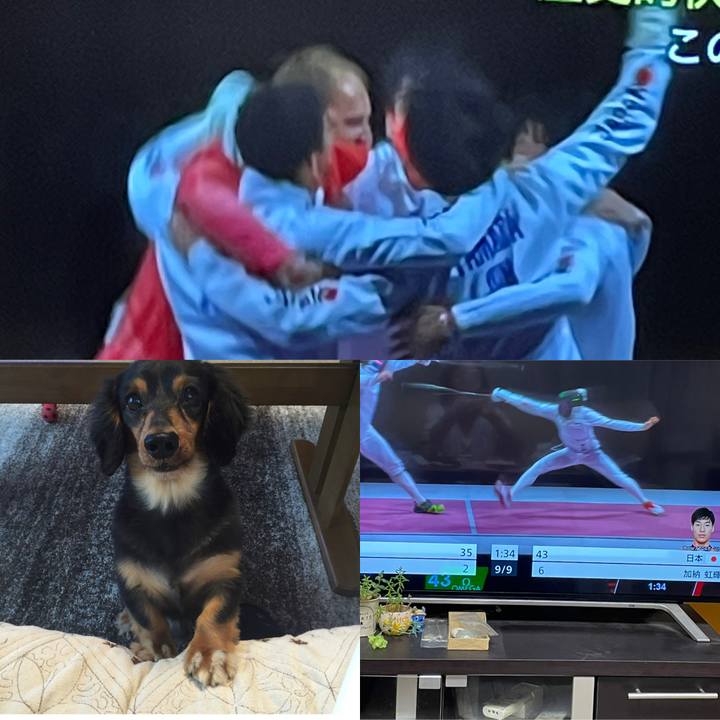 5a49846e eb8c 46c6 b4d0 ea734380badf 1627644678041