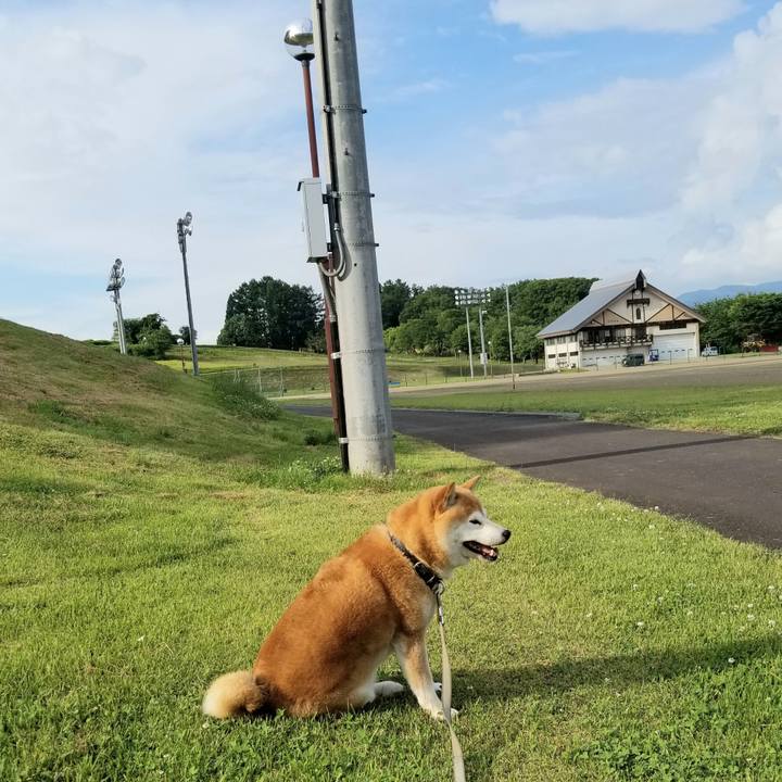 5a4994b8 3f03 4050 8a02 ea6f2ae01d72 1623657649577