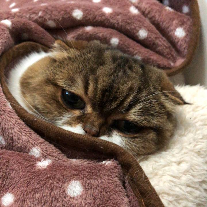 5a49b2f9 82da 4083 baf4 f4f39bd62ce9 1545202167652