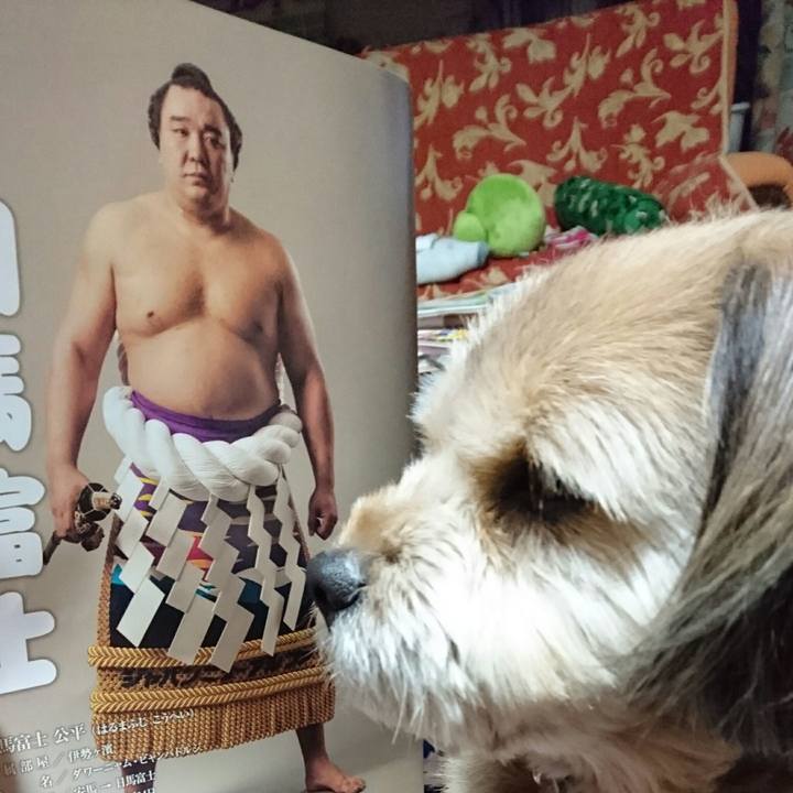 5a49e54f 9968 4cbe 9e93 8d6782a591db 1512551812523