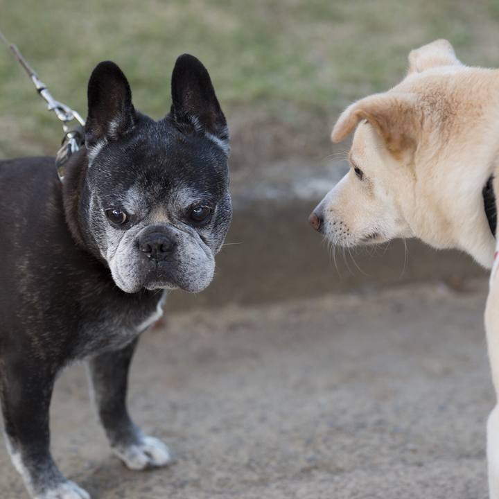 5a49f7eb aba1 4b78 a946 bfb68f157b81 1540481332794