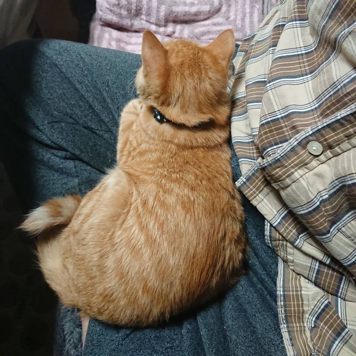 5a4a2049 8c95 4fb8 98ba e4771031c925 1635329152956