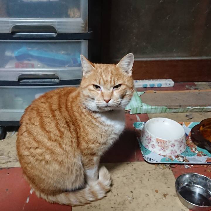 5a4a508e b8df 4cef bab8 bb852541fed0 1580501286160