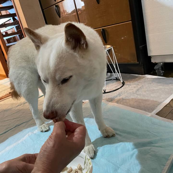 5a4a523f 4459 4776 a30d 86c41852589f 1634469955147