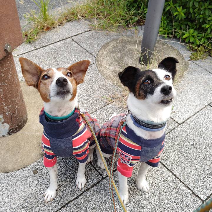 5a4a68dc bbde 4e68 b72b 2413f1e81e3f 1729374631849