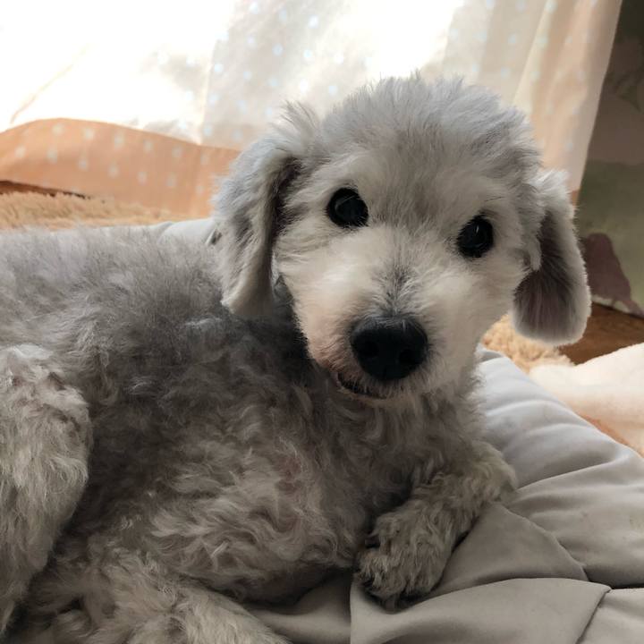 5a4a76dc ad51 428c 87e1 8126133bd71d 1640313543210