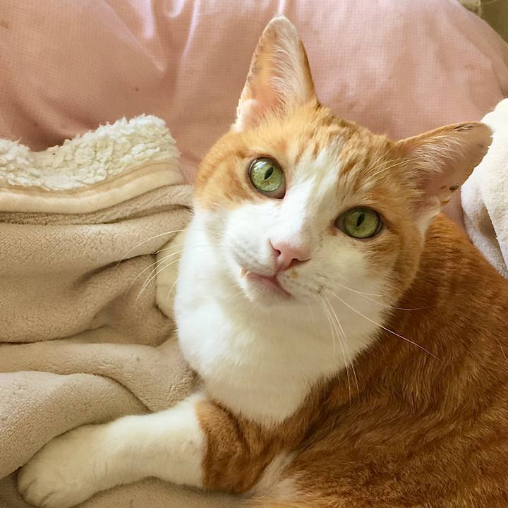 5a4a8d8f ea2a 4114 b985 9d8eb29abeb8 1619556770106