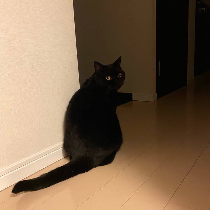 5a4a99d8 ef48 44c5 8e06 b0be40c9f0ce 1746885064434