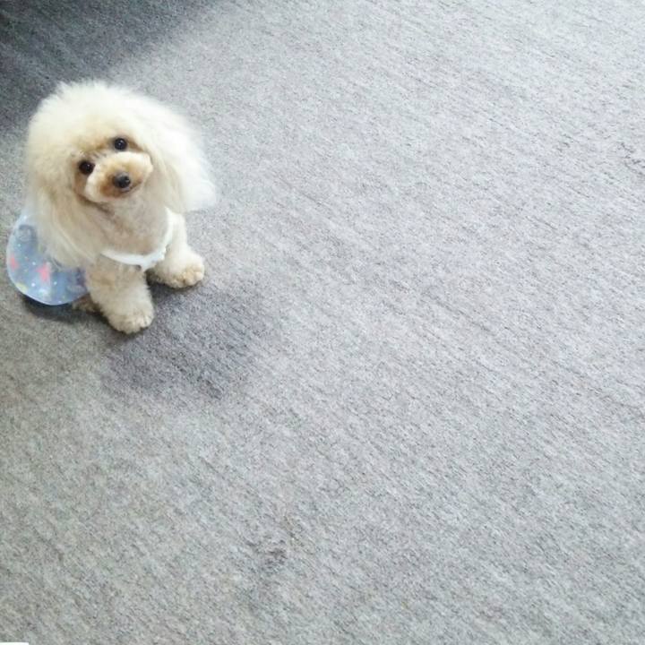 5a4a9a4a 8293 4e38 9563 ddc5e0ed9aaa 1536755931681