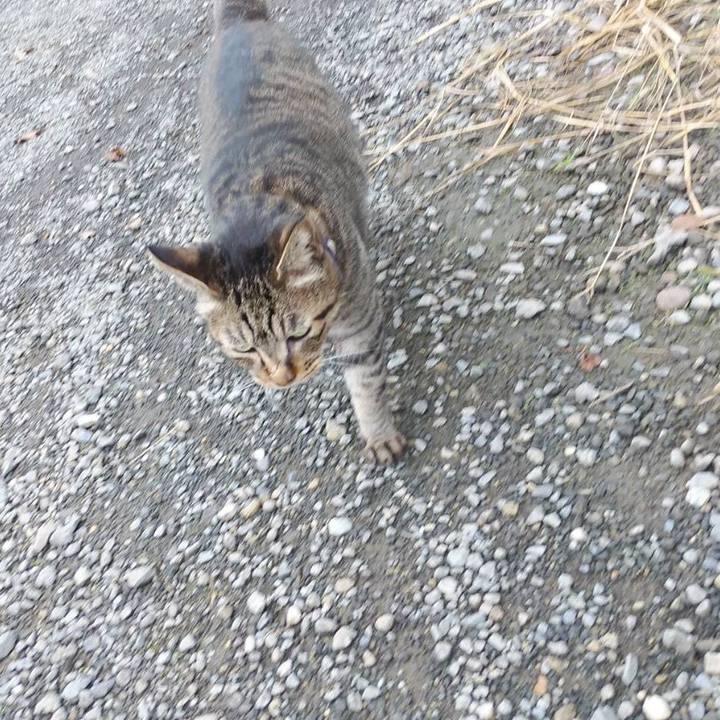 5a4aaa5e 5d60 42df 9a00 08ca119de094 1600693079961