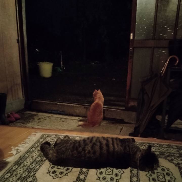 5a4b2c1e 0176 426b ac7b 20108ac45a5e 1692354932112