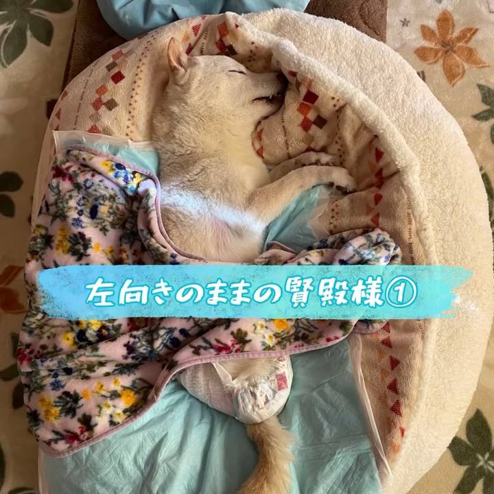 5a4b3170 b32f 45a2 8a9d c4372fd5cf0d 1670535728209