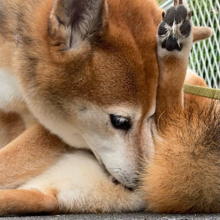 5a4b65d8 3c6e 4e08 829f 32b27ba2db85 1695440198234