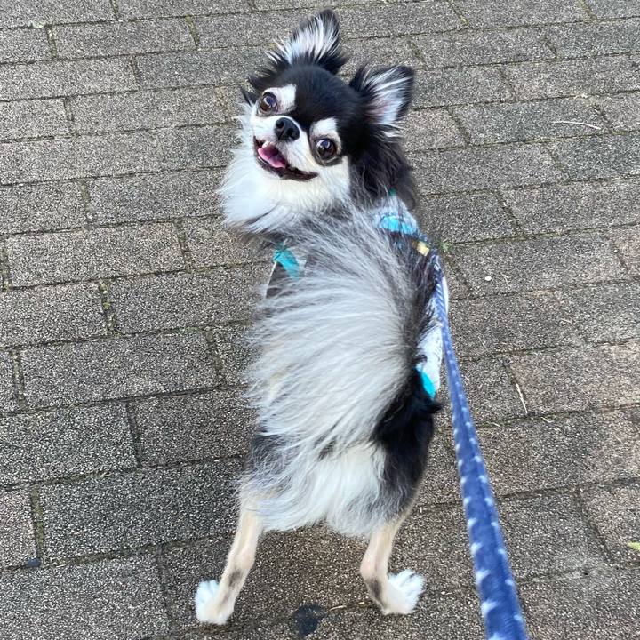 5a4b7f17 ad93 46fc b02f a07a2eba1f5e 1656218176969