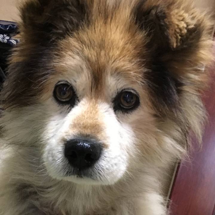 5a4be020 738c 4c26 b393 41a5d0c12835 1607137185581