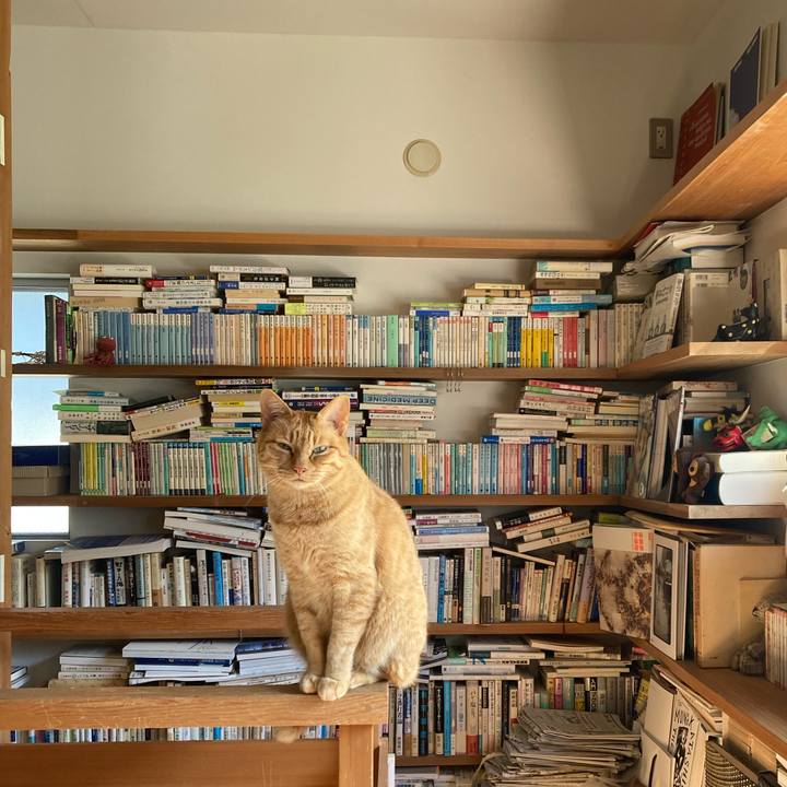 5a4c0345 ef66 4be3 9a37 98cf6641dce6 1745713665316