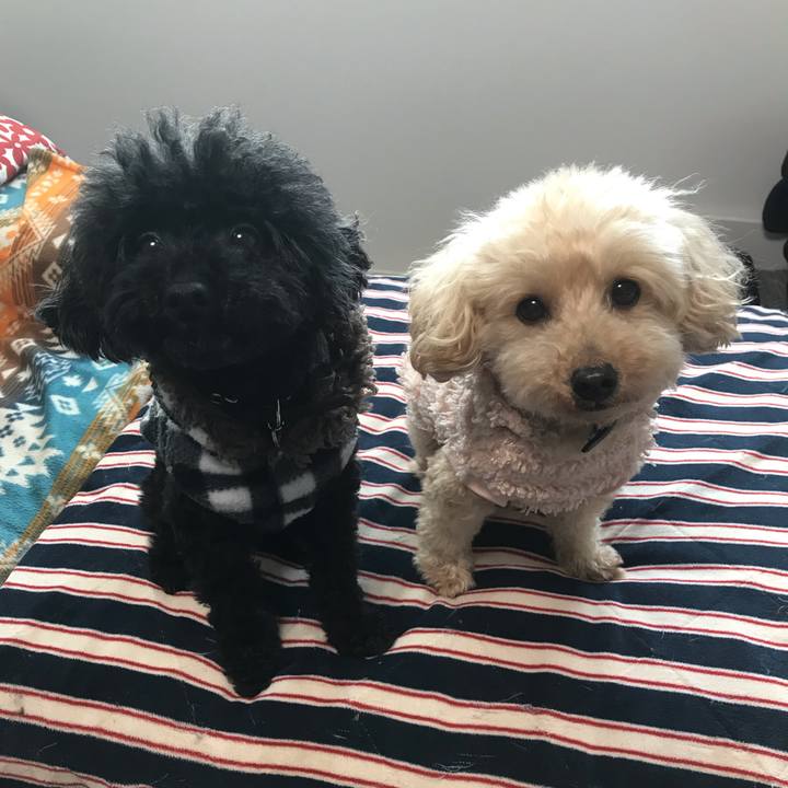 5a4c0454 d84e 42fb a33f e6d7d1d99210 1541112606090