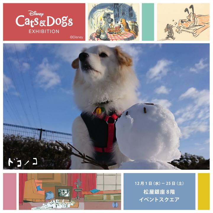 5a4c1066 f95f 4006 a35c 7d23762111f3 1638446440198