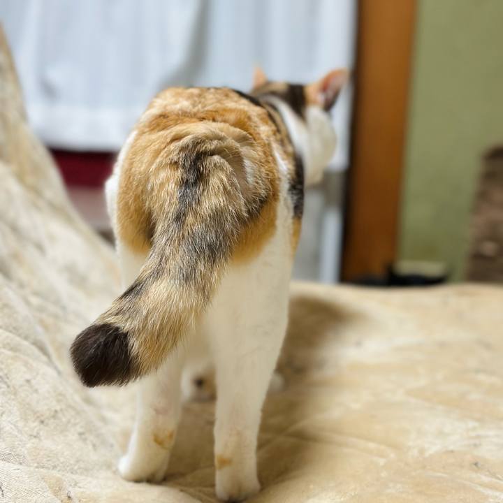 5a4c8232 dec0 44ed 82e2 a792b5d1e560 1684718319058