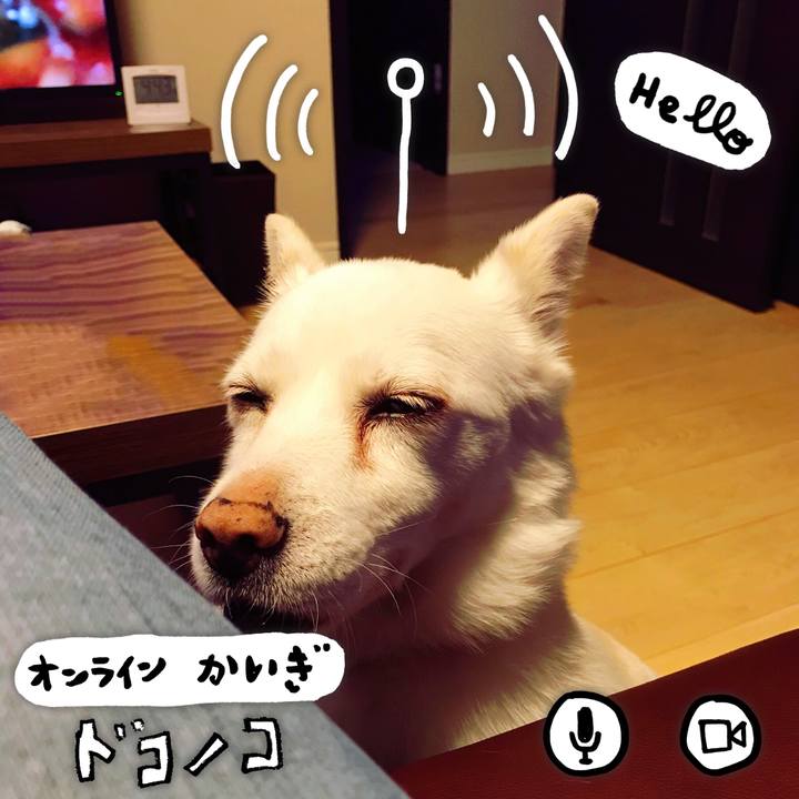 5a4c8367 bb36 42fd b552 3f8eed356765 1590726603866