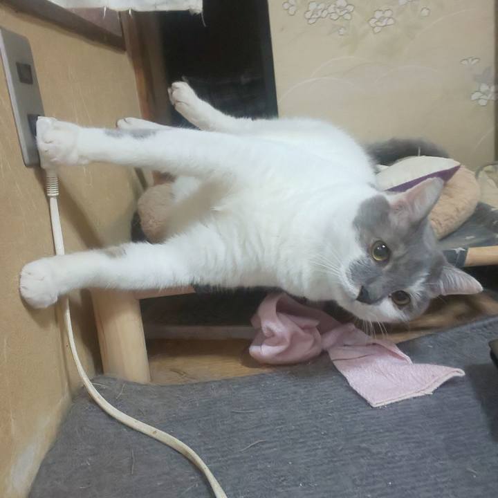 5a4c9ea9 0776 4d2c 9d7e 335545376303 1696469201638