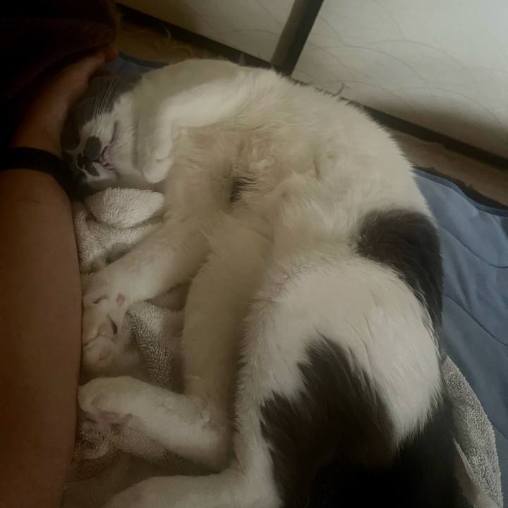 5a4cae01 2606 47ad b871 7291912b0d10 1694687927250