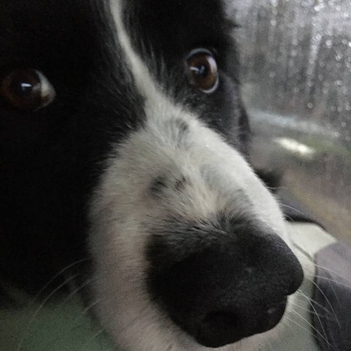 5a4cb4b9 bfe2 4218 a782 35242156df93 1583790897557