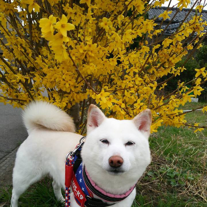 5a4cdd75 5ff0 475f 8eef 942e98bdb7b1 1617073776186